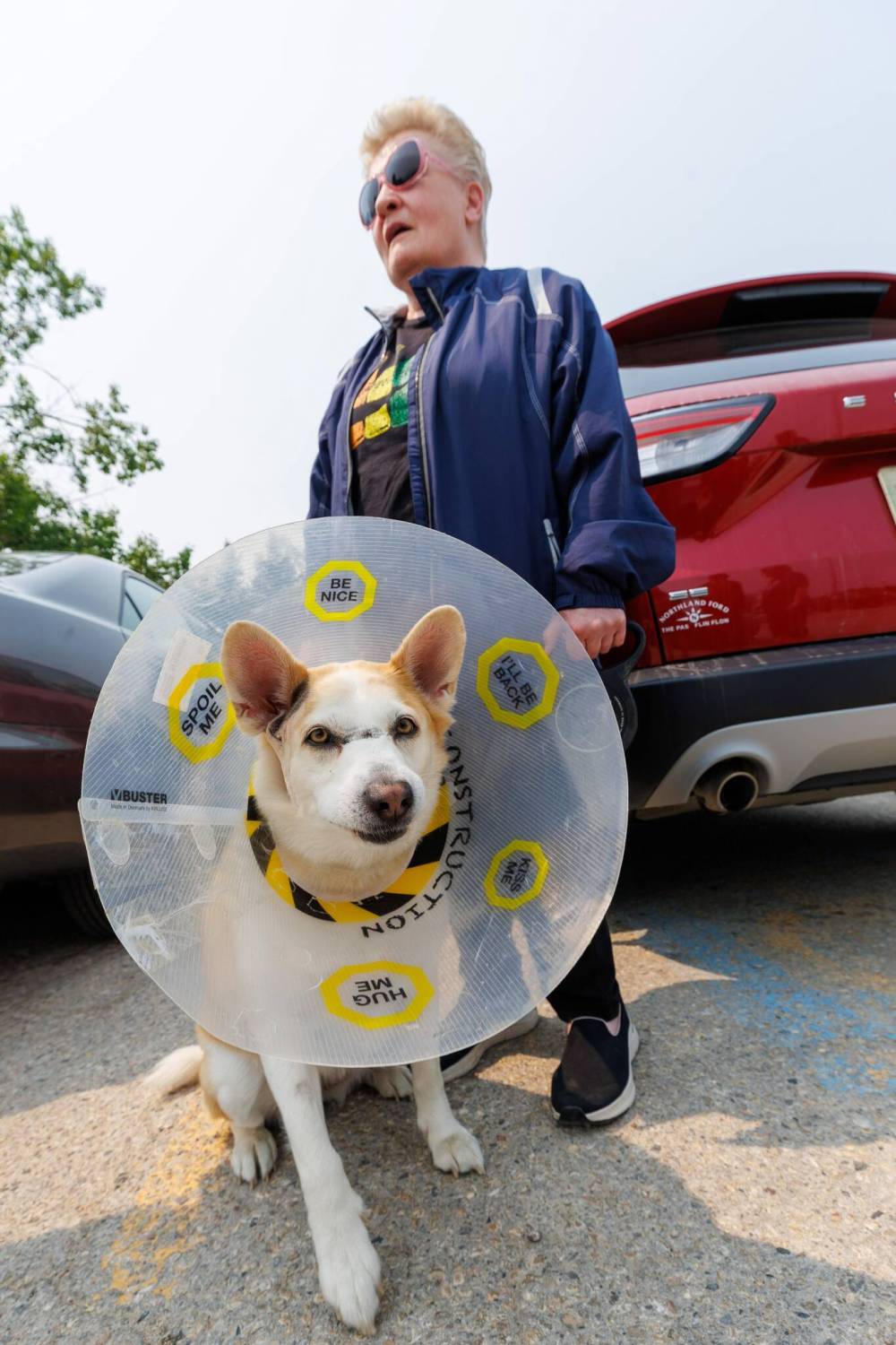 MIKE DEAL / FREE PRESS
                                Evacuee Christine Bell, with her dog, Mocha, who is wearing a cone because of a recent surgery to remove a cyst, drove to Winnipeg from Flin Flon and is now sleeping in her car in the parking lot of the Century Arena as the sleeping arrangements are too chaotic for her.