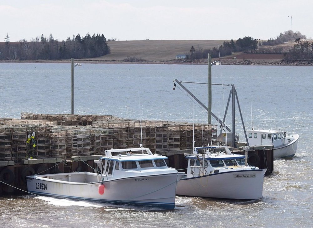 Fishing boats rest at berth in the Mi’kmaq community of Lennox Island, P.E.I., on Monday, April 25, 2016. THE CANADIAN PRESS/Andrew Vaughan