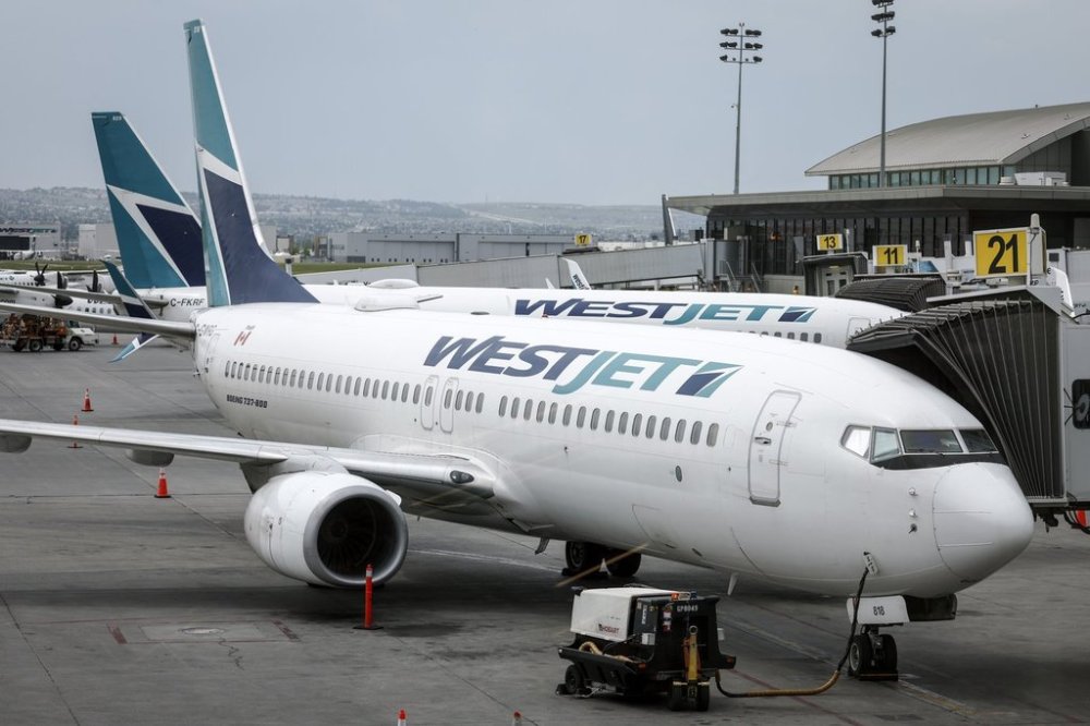 WestJet passenger jets parked at departure gates at the Calgary International Airport on Wednesday, May 31, 2023.THE CANADIAN PRESS/Jeff McIntosh