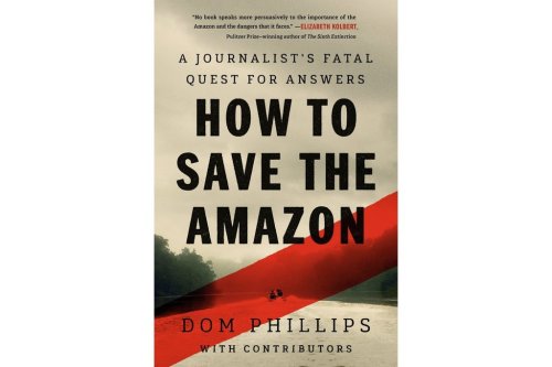 This book cover provided by Chelsea Green Publishing, shows “How to Save the Amazon” by British journalist Dom Phillips with contributors. (Chelsea Green Publishing via AP)