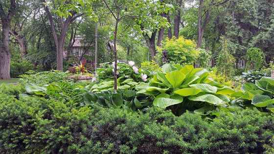 An example of design elements in a Winnipeg shade garden. (Colleen Zacharias photo)