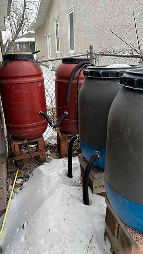 Winnipeg gardener George Nytepchuk's repurposed rain barrels. (George Nytepchuk photo)