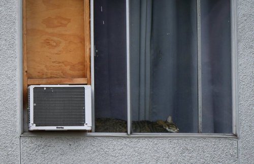 A cat sleeps in an apartment window beside an air conditioner in Burnaby, B.C. on August 5, 2023. THE CANADIAN PRESS/Darryl Dyck