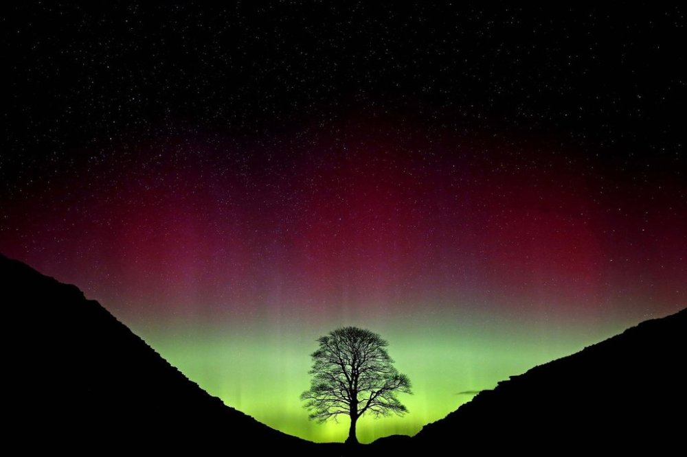 FILE - Northern Lights, or Aurora Borealis, shining over the Sycamore Gap tree, on Hadrian's Wall in Northumberland, England, July 3, 2016. (Owen Humphreys/PA via AP, File)