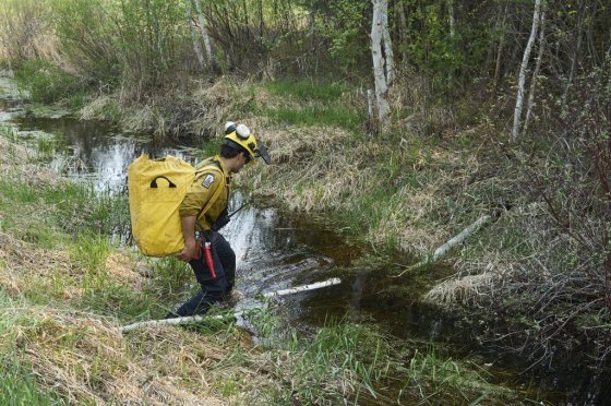 A member of the Manitoba Wildfire Program crosses a stream with a new hose on his back as fire crews continue to fight wildfires around Lac du Bonnet on Thursday. (David Lipnowski / The Canadian Press)