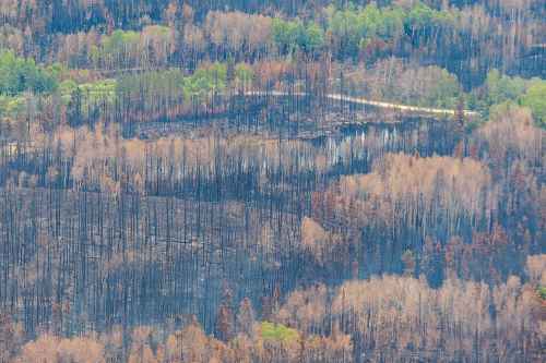 MIKE DEAL / FREE PRESS
Tour of the wildfire conditions around Flin Flon by helicopter.
Premier Wab Kinew takes a tour of the wildfires in northern Manitoba, making stops in Flin Flon and Thompson.
250612 - Thursday, June 12, 2025.