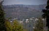 Burned trees are seen above a neighbourhood in West Kelowna, B.C. on Friday, Aug. 25, 2023. THE CANADIAN PRESS/Marissa Tiel