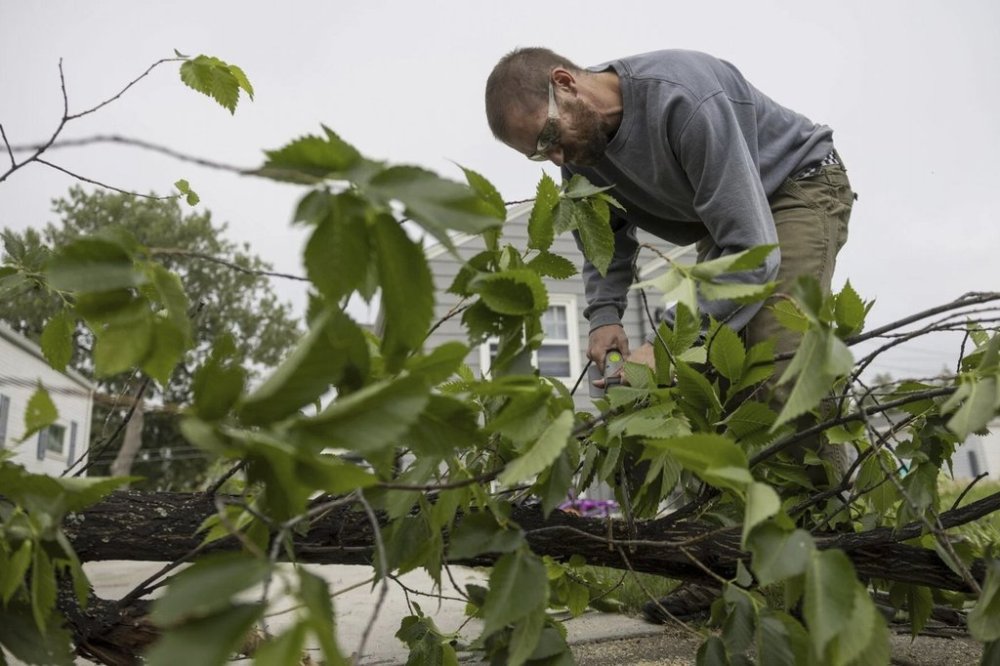 Casey Fiest uses an electric chainsaw to cut limbs off of a broken tree laying in a yard from the previous night's severe thunderstorms in Bismarck, N.D., on Saturday, June 21, 2025. (Tanner Ecker /The Bismarck Tribune via AP)