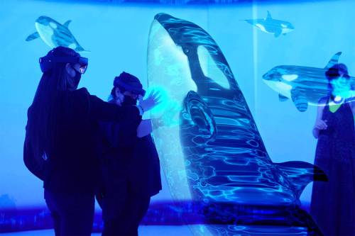 MIKE DEAL / FREE PRESS
                                Critical Distance participants are fully immersed in the orca&rsquo;s experience.