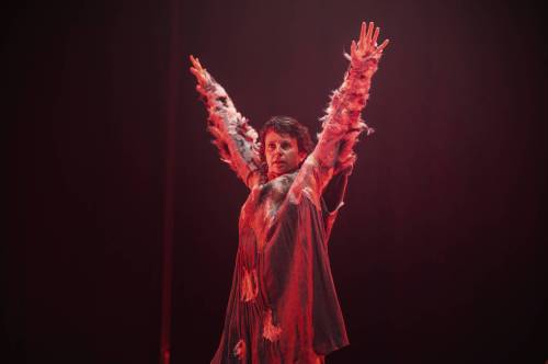 Pablo Riquelme photo
                                Alex Elliott is premièring her first full-length piece of contemporary choreography.