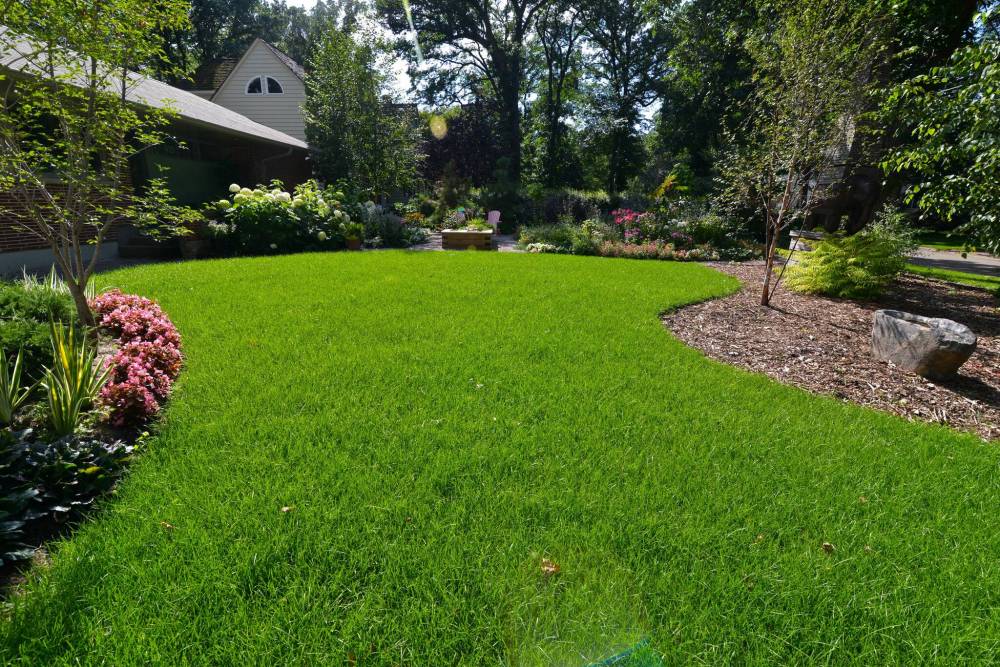 Becky Slater photo
                                A lush, hydrated lawn like this one increases resilience, while a lawn that is dried out is a fire risk.