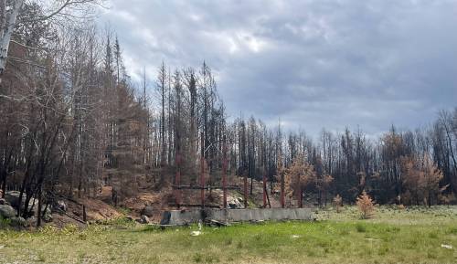 SUPPLIED
                                The charred remains of a a sign that once welcomed visitors to Nopiming Provincial Park. The sign was destroyed by a wildfire that was first detected May 12 and rapidly spread. The blaze was caused by lightning, the province said.