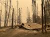 SUPPLIED
                                Crystal Antila’s cabin was one of almost 30 cottages or homes that were destroyed by the wildfire in Burge Lake Provincial Park near Lynn Lake.