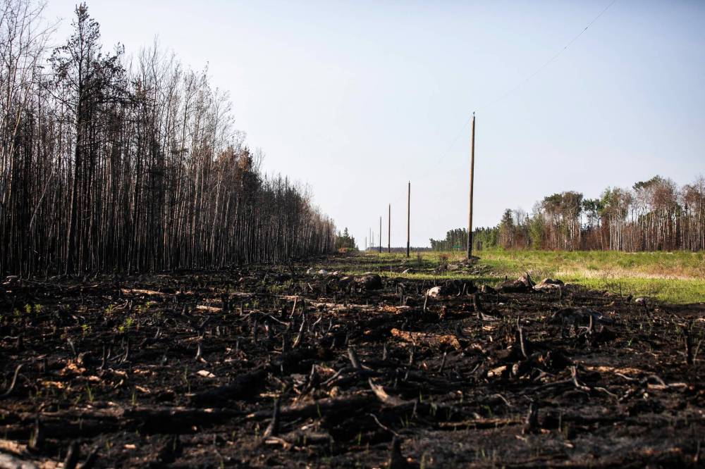 MIKAELA MACKENZIE / FREE PRESS Burned forests just south of Cranberry Portage along Highway 10.