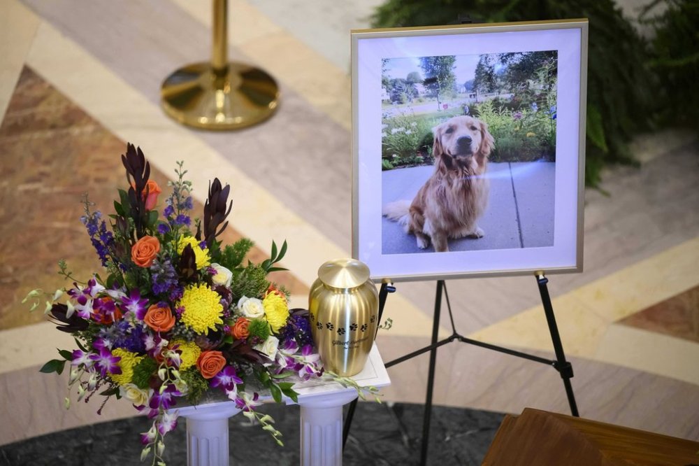 The urn carrying the remains of Gilbert, the dog of Minnesota state Rep. Melissa Hortman and her husband, Mark Hortman, is diplayed at the Minnesota State Capitol in St. Paul, Minn., on Friday, June 27, 2025. (Aaron Lavinsky/Star Tribune via AP)