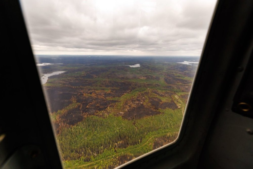 Trees burned by wildfires in northern Manitoba are shown during a helicopter tour in the surrounding area of Flin Flon, Man., on Thursday, June 12, 2025. THE CANADIAN PRESS/Mike Deal-Pool