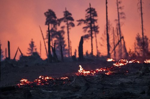 The forest floor is on fire in a wooded area on the Saalfelder Höhe, in Reichmannsdorf, Germany, Wednesday, July 2, 2025. (Daniel Vogl/dpa via AP)