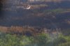 A helicopter crew works on a wildfire in northern Manitoba during a helicopter tour in the surrounding area of Flin Flon, Man. on Thursday, June 12, 2025. THE CANADIAN PRESS/Mike Deal-Pool