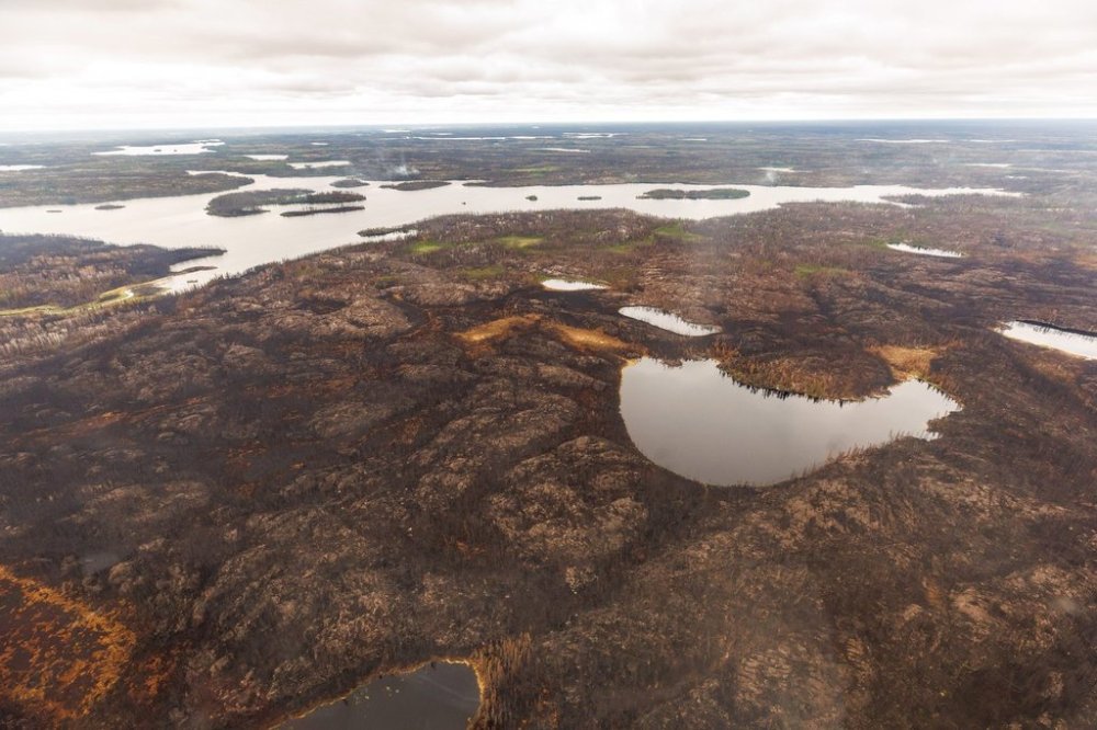 Manitoba Hydro says power is out in the northern town of Leaf Rapids after a wildfire entered the community and destroyed some infrastructure. Trees burned by wildfires in northern Manitoba are shown during a helicopter tour in the surrounding area of Flin Flon, Man. on Thursday, June 12, 2025. THE CANADIAN PRESS/Mike Deal-Pool
