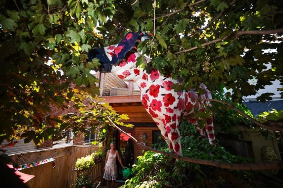 A moose stands high atop the back deck of Laurel Brooks' home in Toronto. (Cole Burston / The Canadian Press)