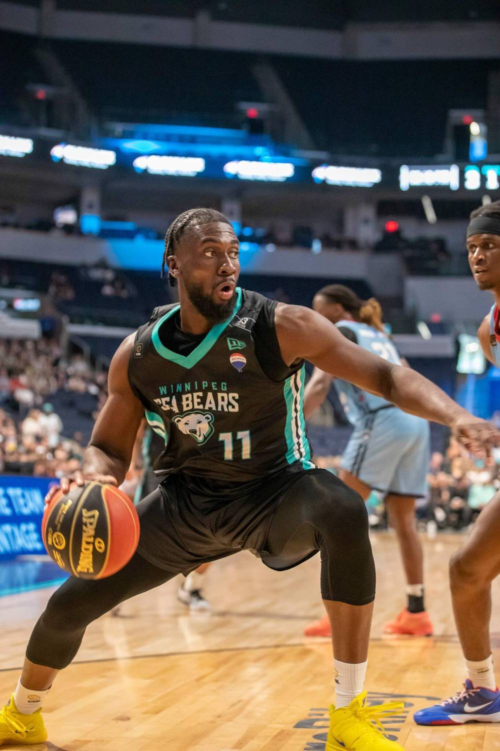Sea bears stomp rattlers winnipeg free press