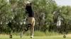 Golf Manitoba
                                Drew Jones of Shilo Country Club enters the final round of the Nott Autocorp Men&rsquo;s Amateur Championship as the clubhouse leader, holding a one-stroke lead over Evan Nachtigall.