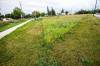 MIKAELA MACKENZIE / FREE PRESS
                                Property lines are clearly delineated by shorn lawn on the city side and longer grasses and wildflowers along the tracks between Burrows and Sheppard on Tuesday.