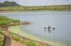 MIKAELA MACKENZIE / FREE PRESS FILES
                                Blue-green algae can cause diarrhea, stomach cramps, skin rashes and eye irritation.