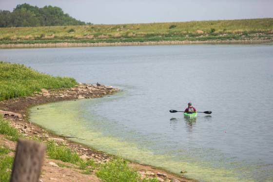 Blue-green algae can cause diarrhea, stomach cramps, skin rashes and eye irritation. (Mikaela MacKenzie / Free Press files)