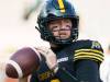 Peter Power / THE CANADIAN PRESS FILES
                                A massive part of the Hamilton Tiger-Cats’ resurgence in the East Division is owing to quarterback Bo Levi Mitchell, who’s playing at an MOP-calibre level.