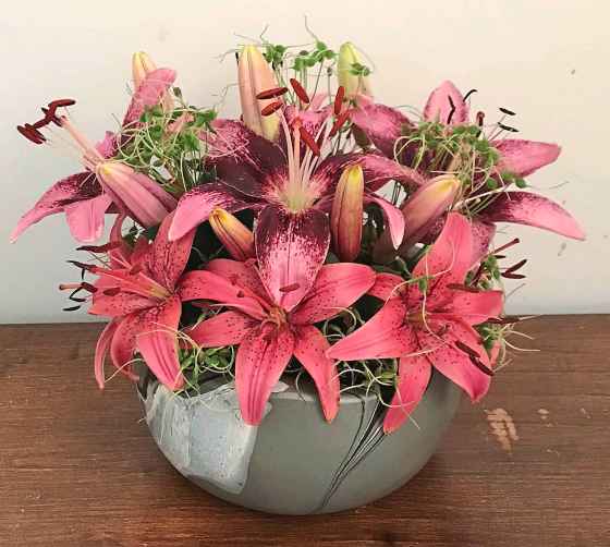 The 41st Annual Lily Show will be held July 19. (Manitoba Regional Lily Society photo)