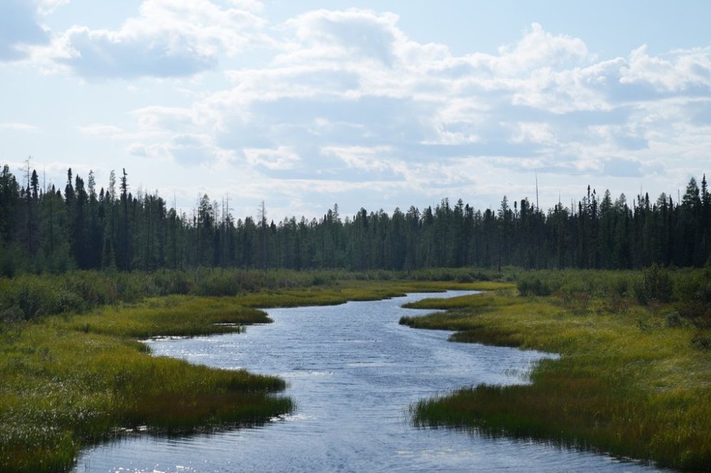 A stream runs along the outskirts of Neskantaga First Nation, part of northern Ontario's mineral-rich Ring of Fire region, on Sunday, Aug. 20, 2023. THE CANADIAN PRESS/Chris Young
