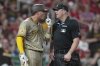 San Diego Padres' Manny Machado, left, yells at home plate umpire Lance Barrett after being hit by a pitch during the ninth inning of a baseball game against the St. Louis Cardinals Saturday, July 26, 2025, in St. Louis. (AP Photo/Jeff Roberson)