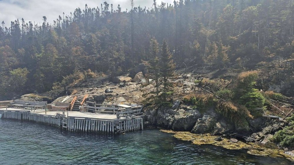 A wildfire near Chance Harbour on Newfoundland's Bonavista Peninsula has damaged several structures, as shown in this handout photo from Warrick's Cove on Friday July 18, 2025. THE CANADIAN PRESS/Handout - Ryan Pitts (Mandatory Credit)