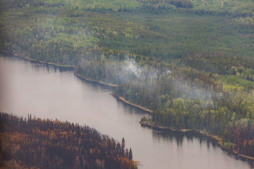 Trees burned by wildfires in northern Manitoba are shown during a helicopter tour in the surrounding area of Flin Flon, Man. on Thursday, June 12, 2025. THE CANADIAN PRESS/Mike Deal-Pool