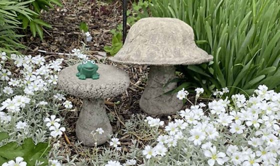 Hypertufa mushrooms (Leila Wegert photo)