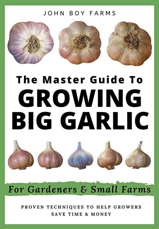 The Master Guide to Growing Big Garlic.