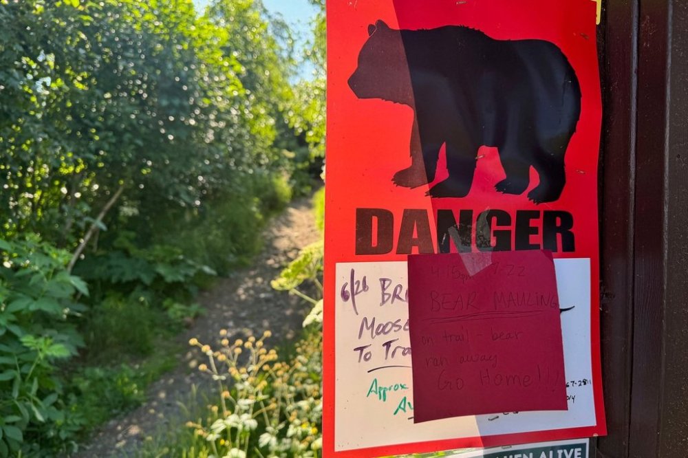 A bear warning sign is posted at the Basher trailhead in Anchorage, Alaska, on Wednesday, July 23, 2025, a day after a hiker was injured by a brown bear about two miles into the trail. (AP Photo/Mark Thiessen)