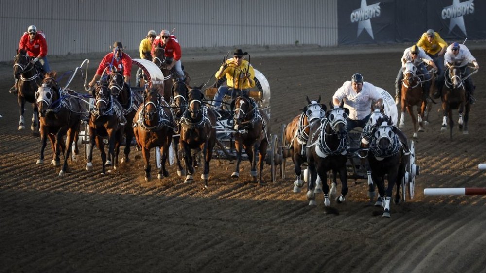 Drivers cross the finish line during chuckwagon racing action at the Calgary Stampede in Calgary, Alta., Saturday, July 8, 2023.THE CANADIAN PRESS/Jeff McIntosh