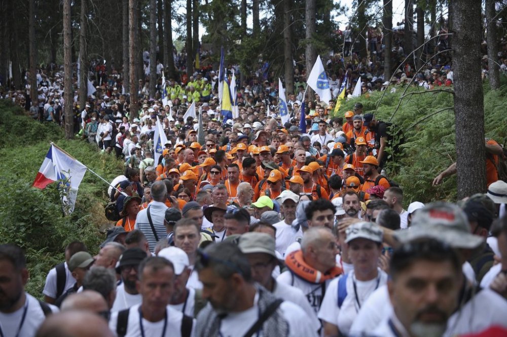 Participants in the