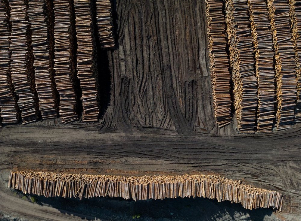 In an aerial view, logs are seen stacked at Gorman Brothers Lumber sawmill, in West Kelowna, B.C., on Friday, April 4, 2025. THE CANADIAN PRESS/Darryl Dyck