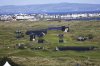 The Dunluce course that is hosting the 2025 British Open golf championship at Royal Portrush Golf Club, Northern Ireland, Sunday, July 13, 2025. (AP Photo/Peter Morrison)