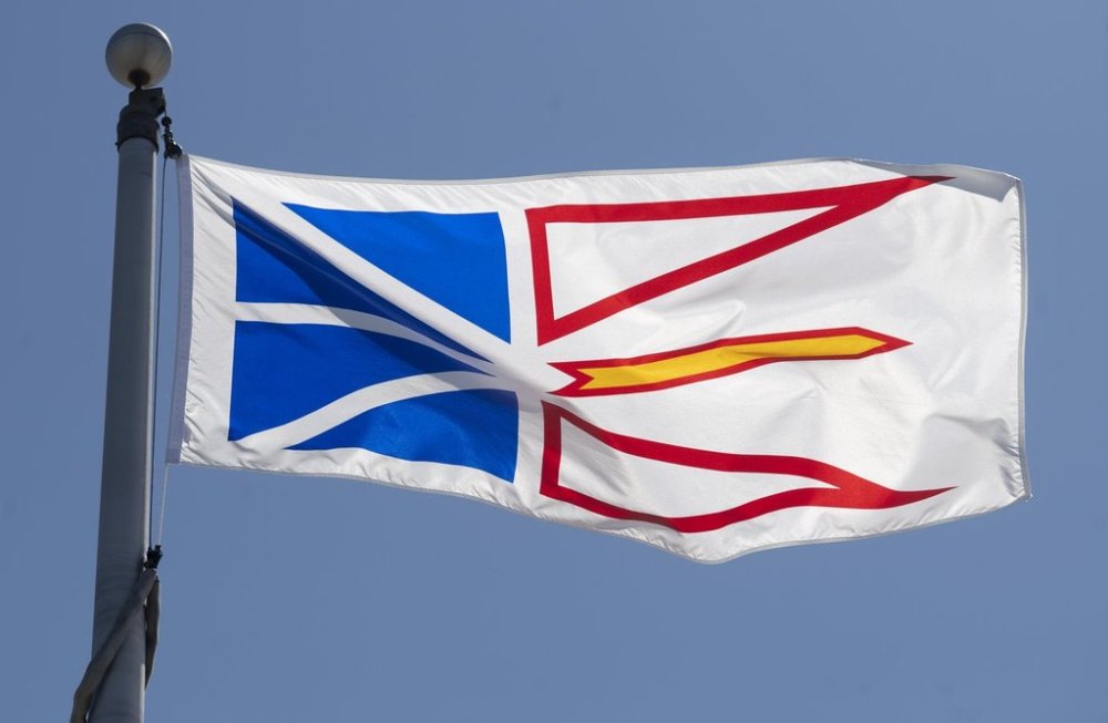 Newfoundland and Labrador's provincial flag flies on a flagpole in Ottawa, Monday, July 6, 2020. THE CANADIAN PRESS/Adrian Wyld