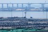 Vehicles for export are parked at a port in Pyeongtaek, South Korea, Friday, Aug. 1, 2025. (AP Photo/Ahn Young-joon)
