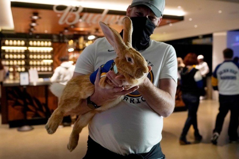 FILE - Josh Row holds up a therapy rabbit named Alex at Chase Center before an NBA basketball game between the Golden State Warriors and the Phoenix Suns in San Francisco, Tuesday, May 11, 2021. (AP Photo/Jeff Chiu, File)