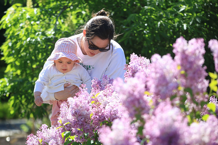 Little Charlotte Moar, who will be 18 months on June 2nd, enjoys checking out the flowers in the English Garden with her mom Victoria Penner while strolling around the park with family members Friday morning.
