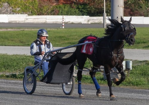 A harness racer and horse are seen at Fraser Downs racetrack in Surrey, B.C., in a Sept. 19, 2024, handout photo. The track was abruptly closed on Friday, Aug. 15, 2025, after almost half a century in operation. THE CANADIAN PRESS/Handout - Patti Tubbs (Mandatory Credit)