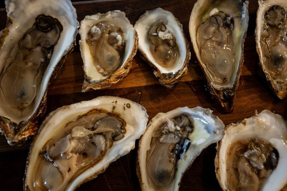 Shucked Malpeque oysters are seen on a serving board in Summerside, P.E.I., Sunday, Jul 20, 2025. THE CANADIAN PRESS/Giordano Ciampini