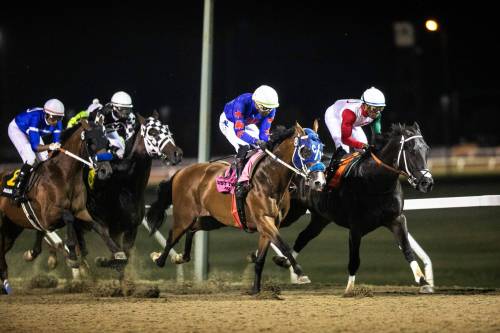 MIKAELA MACKENZIE / FREE PRESS
                                Attack (checkered colours) won the 77th Manitoba Derby Monday night after Take Charge Tom (right) was disqualified. In the Derby race, there were four complaints lodged involving five different horses.