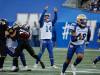 John Woods / THE CANADIAN PRESS
                                Winnipeg Blue Bombers kicker Sergio Castillo celebrates a field goal against the Ottawa Redblacks in the Bombers 30-27 win in Winnipeg, Thursday.